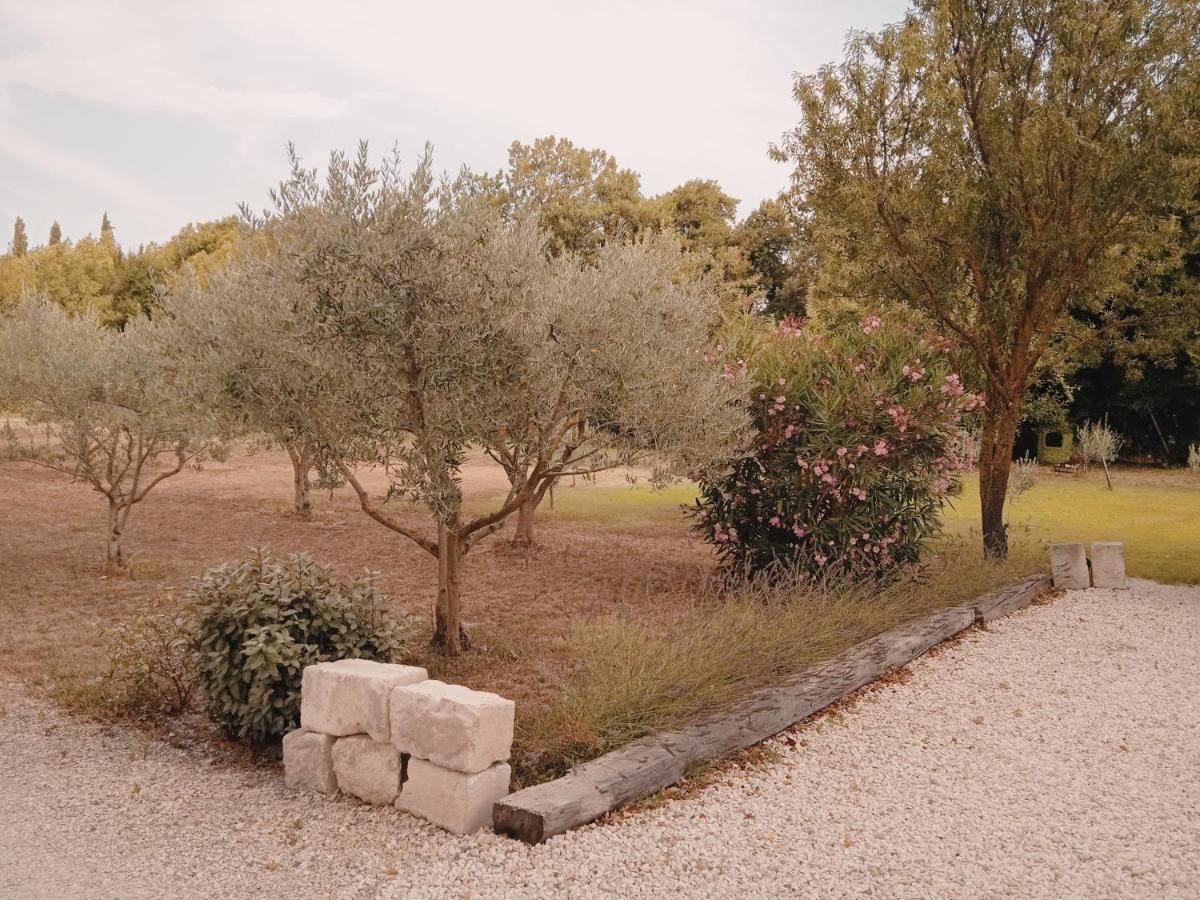 Gite du Mas de la Finière Châteaurenard Extérieur photo