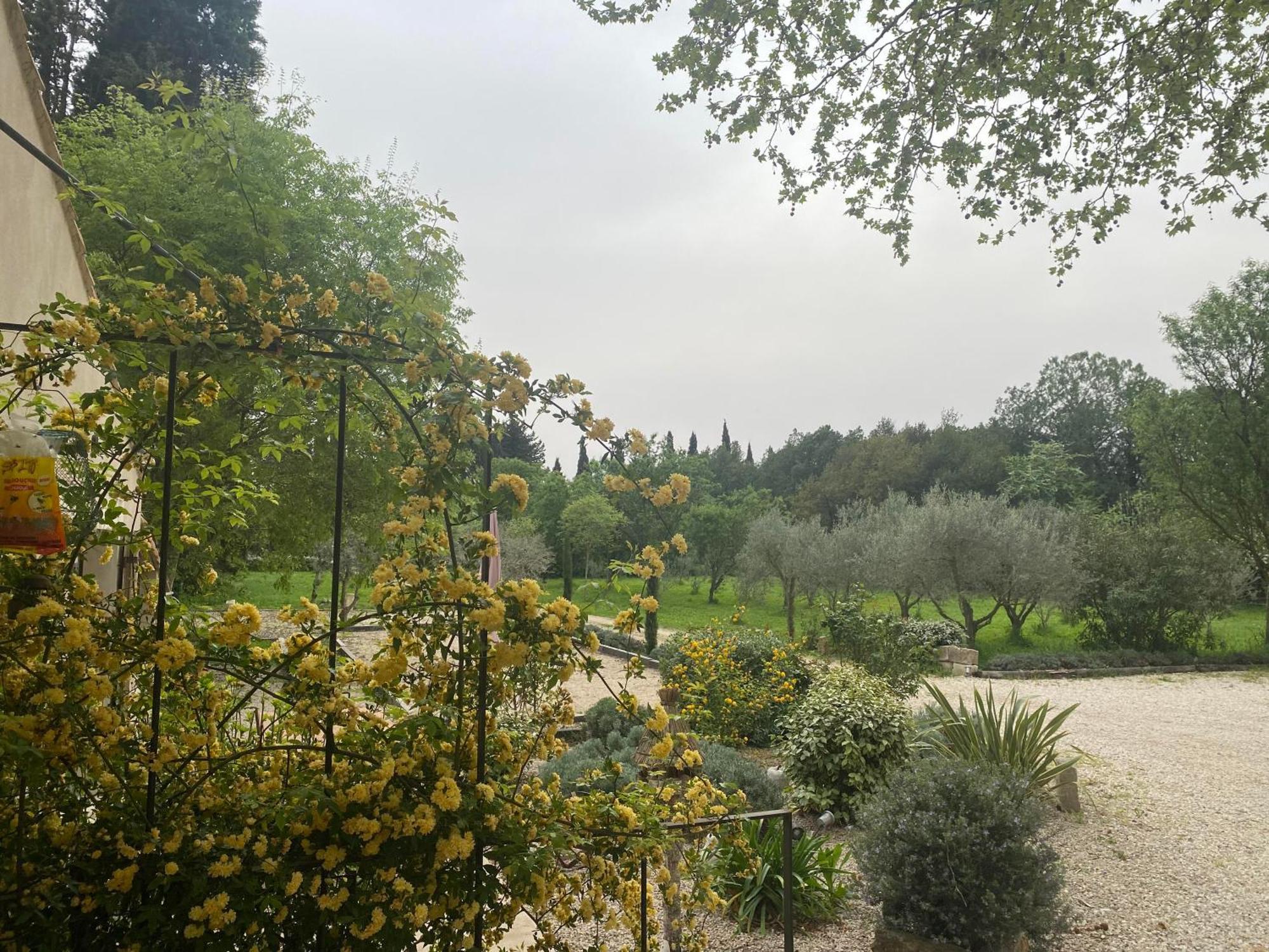 Gite du Mas de la Finière Châteaurenard Extérieur photo